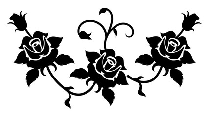 Floral corner with roses and leaves vector on white background
