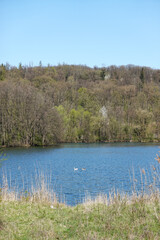 A natural park at Wernauer Bagger lake, Wendlingen, Germany