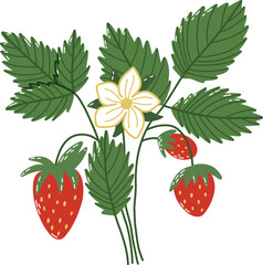 Illustration of Strawberries, Leaves, and Flower in a Stylized Design