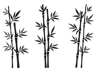 set of bamboo vector silhouette