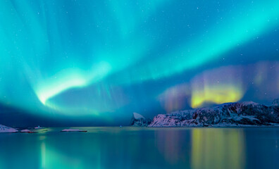 Northern lights or Aurora borealis in the sky - Tromso, Norway