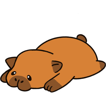 The capybara lies flat on the ground because it is very tired.
