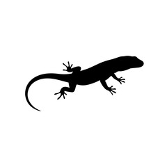 Fototapeta premium Lizard silhouette vector flat illustration design.