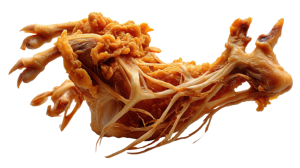 Abstract Anatomy Unveiled: A detailed, clinical-grade study showcases the intricate beauty of the human body, revealing complex biological structures in stunning detail.