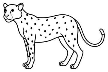 Fototapeta premium Wild Cheetah Stroke Design