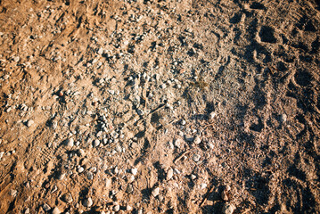 sand with stones in the sun