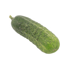 cucumber on transparent background
