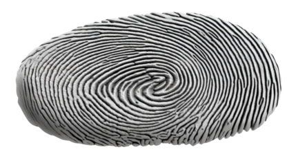 Forensic Fingerprint Analysis: A close-up, high-angle shot of an individual fingerprint, captured in sharp detail, revealing the intricate patterns of ridges and whorls that make each one unique. 