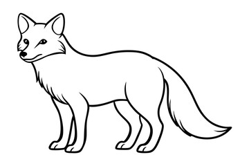 Wild Arctic Fox Vector