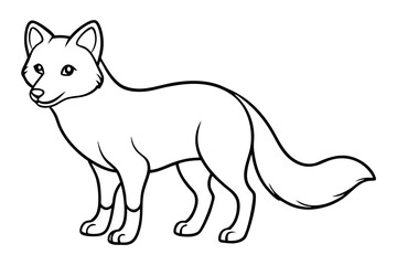 Wild Arctic Fox Vector