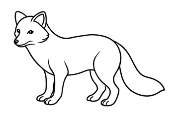 Wild Arctic Fox Vector