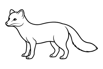 Wild Arctic Fox Vector