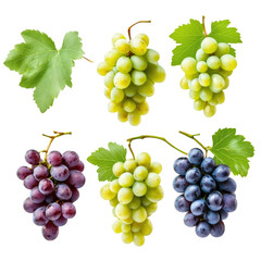 A Variety of Grapes: Green, Red, and Black Grapes with Leaves for Fresh, Healthy Snacking and Cooking Ideas on transparent background