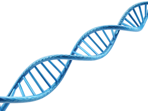 DNA Helix Isolated on White Background PNG | Science Graphic, Biology Illustration, Medical Research, Genetic Code, Healthcare Element