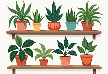 "Add a Touch of Greenery and Geometric Flair: Discover Delightful Indoor Plant Illustrations with Playful Aztec Border Accents - Perfect for Home Decor, Stationery, and Creative Design Projects"
