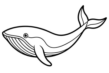 Whale Outline Illustration
