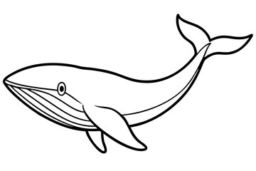 Whale Outline Illustration