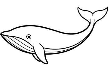 Whale Outline Illustration