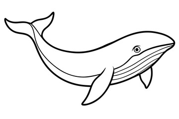 Fototapeta premium Whale Outline Illustration