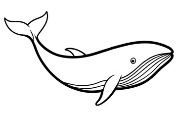 Whale Outline Illustration