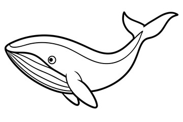 Whale Outline Illustration
