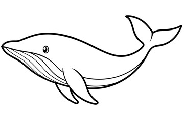 Whale Outline Illustration