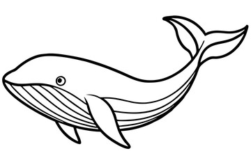 Whale Outline Illustration