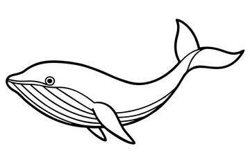 Obraz premium Whale Outline Illustration