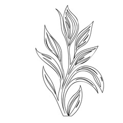 Elegant botanical drawing featuring stylized leaves on a branching stem design