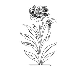 Elegant botanical drawing: Floral illustration with a unique artistic touch