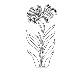 Elegant floral line art depicting a single flower in detailed monochrome illustration