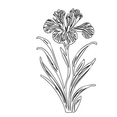 Elegant floral line art: Detailed iris blossom and leaves sketch design