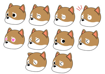 Shiba Inu oblique facial expression