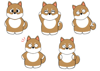 Fototapeta premium Shiba Inu Five Pose Set