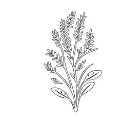 Minimalist botanical illustration featuring delicate, stylized floral elements