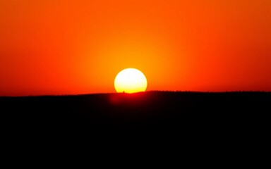 Beautiful sunset in summer illustration