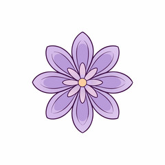 pink flower isolated on white background