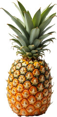 Fototapeta premium pineapple isolated on transparent background png