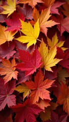Pile of colorful autumn leaves, rich textures, garden, earth, shadow