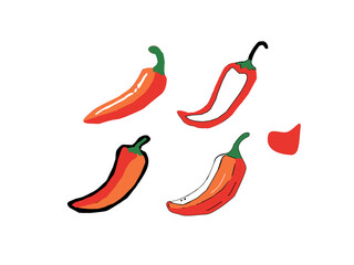 hot chili pepper. Red chili pepper hand drawn illustration. Vibrant red chili pepper illustration. Hand drawn red chili pepper. Red chili pepper doodle. Red chili pepper background.