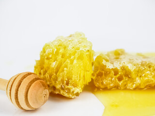 Fresh honeycombs filled with fresh honey - on white background.