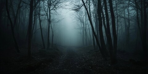 Naklejka premium Enigmatic Nighttime Forest with Mystical Fog