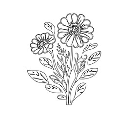 Elegant floral design showcasing a stylized arrangement of daisy-like flowers