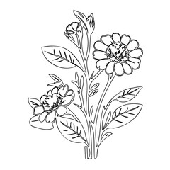 Elegant floral outline artwork showcasing zinnia blossoms and verdant foliage