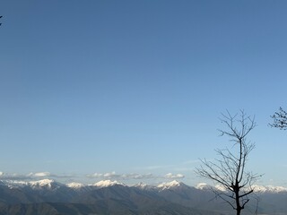 Snowy mountain peaks rise beneath a clear blue sky, with a bare tree silhouette in the foreground...