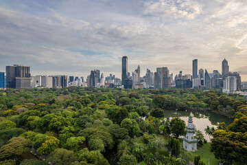 Beautiful Aerial view Green Park With Downtown Skyscrapers Background.
