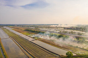 Aerial view of smoke from burning rice straw fields, contributing to PM 2.5 pollution, industrial agriculture concept .