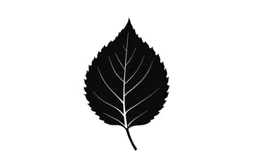 leaf vector illustration isolated on white background