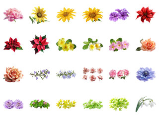 Beautiful Spring Flowers for Design