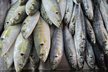 Close-up view of freshly caught fish arranged on ice at a wet market seafood counter.
